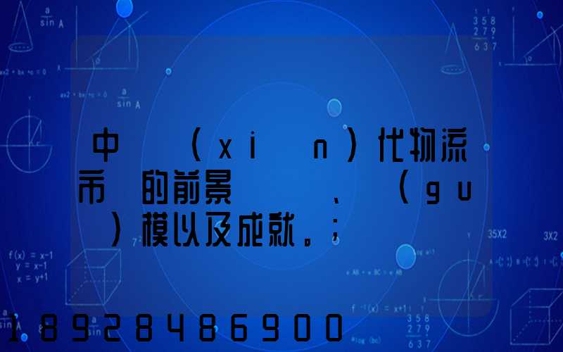 中國現(xiàn)代物流市場的前景、規(guī)模以及成就。